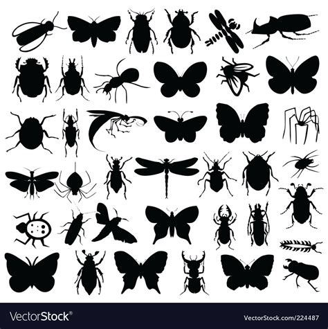 Silhouettes Of Insects Royalty Free Vector Image