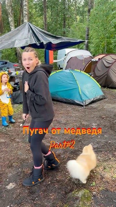 Пугач от медведя#2 «Сигнал Охотника»2 #карелия - YouTube