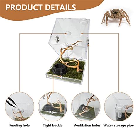 GKPONSX Jumping Spider Enclosure Acrylic Snail SpiderTerrarium Insect