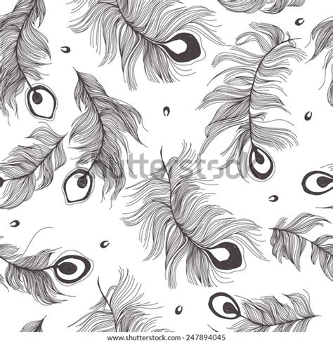 Seamless Pattern Peacock Feather Stock Vector Royalty Free 247894045