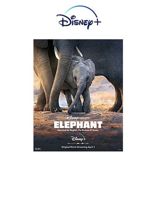 Disney+ Elephant (2020 film) by scottyiam on DeviantArt