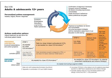 Global Initiative For Asthma Gina Whats New In Medical