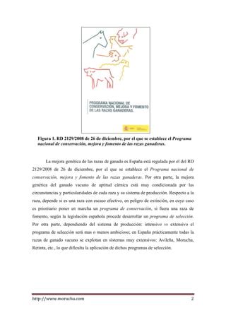 Mejora Genetica En Vacunos De Carne PDF Descarga Gratuita