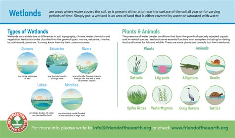 Wetland Campaign