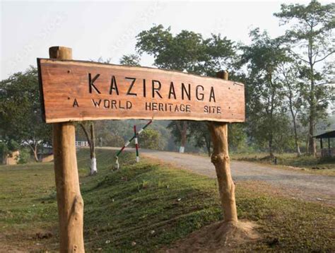 Kaziranga National Park - Rustic Experiences