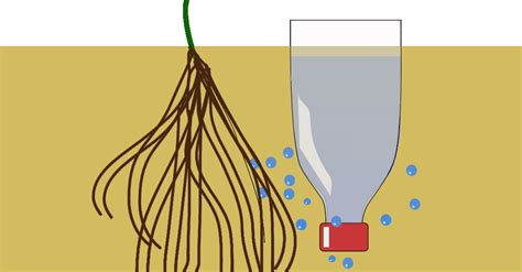 Jak Z Plastikowej Butelki Zrobi Urz Dzenie Do Podlewania Ro Lin