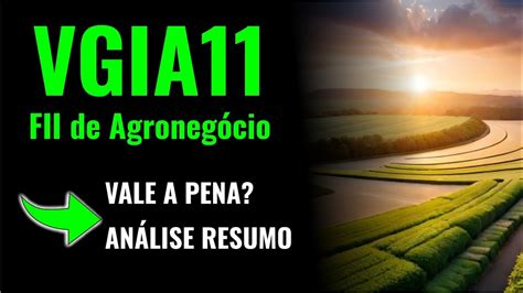 Vgia An Lise Resumo Do Fundo Imobili Rio Agroneg Cio Fiagro Valora