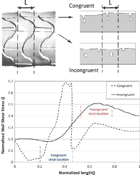 Comparison Of Normalized Wall Shear Stress Near Congruent And