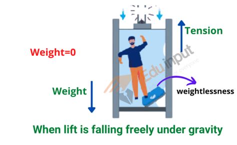 Real And Apparent Weight Definition And Example