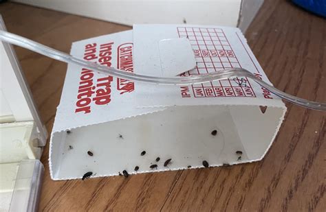 Better homes for renters - Councillor Michael Janz