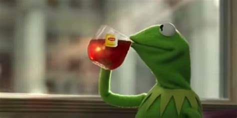 Kermit The Frog Meme Drinking Tea