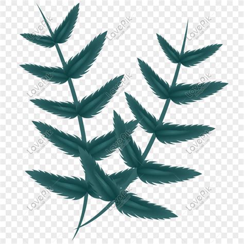 Leaf Decoration Vector Graphic PNG Image Free Download And Clipart Image For Free Download ...