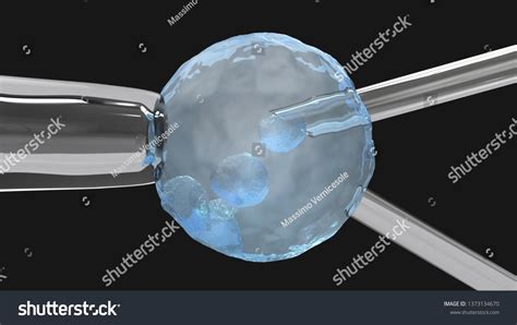 3d Illustration Artificial Insemination Glass Needle Stock Illustration