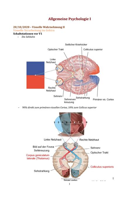 20 10 2020 Visuelle Wahrnehmung II Allgemeine Psychologie I 20 10