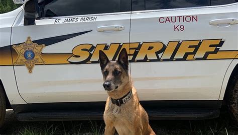 St James K9 Rex To Receive Body Armor Donation Lobservateur L