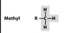 MCAT Functional Groups Flashcards Quizlet