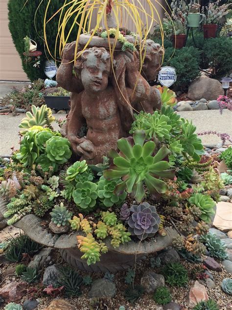 Succulent Sculpture Garden