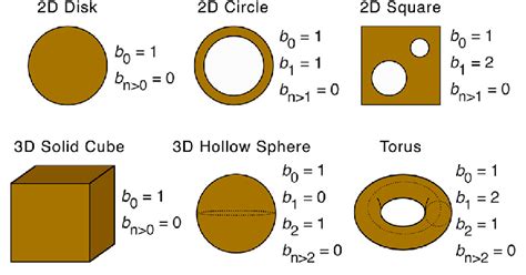 Six Basic Objects And Their Betti Numbers Simply Put Betti Number M