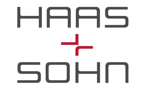 Haas Sohn Kaminofen Newham Easy 0810100515