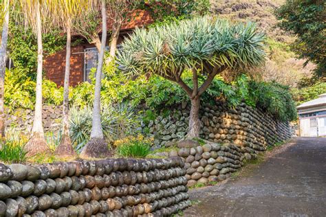 Discover Hachijo-jima Island | KCP Japanese Language School