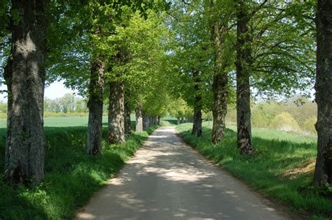 Le Village Site De La Mairie De Basse Rentgen