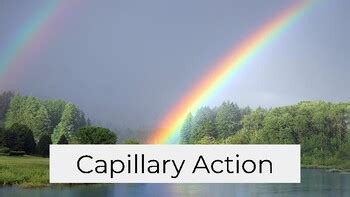 Capillary Action Experiment by Kempter Classroom | TPT