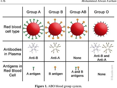 Figure 1 from The Basic Concepts of the Effect of Rhesus (Rh) Factor on Fetus: A Mini Review ...