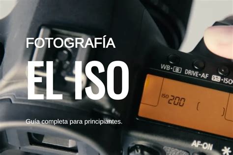 El Iso En Fotografía Guía Completa Para Principiantes Blog De Foto