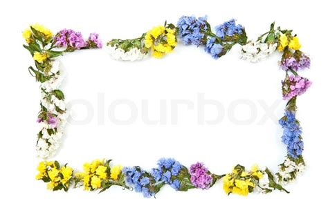 Farvede Blomster Ramme Isoleret P Hvidt Stock Foto Colourbox