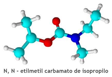 Insecticidas Rganofosforados Carbamatos Toxicolog A Laboral