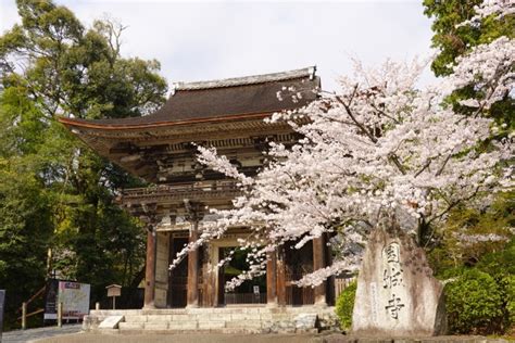 滋賀県大津市にある天台寺門宗の総本山・園城寺の歴史や見どころをご紹介｜大船の賃貸｜株式会社ジェイワン ホームメイトfc大船駅前店