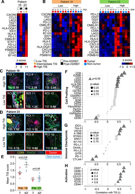 Digital Spatial Gene And Protein Expression Profiling Reveals Cellular