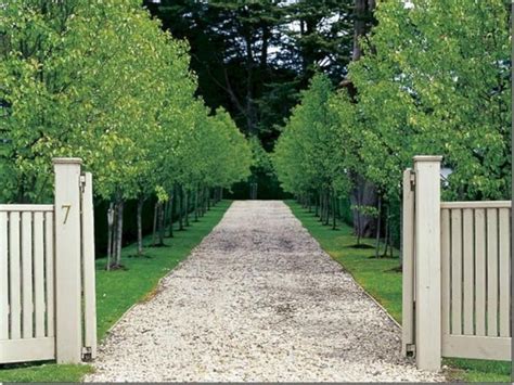 Attractive Driveway Design And 30 Best Ideas Tree Lined Driveway Driveway Landscaping Driveway