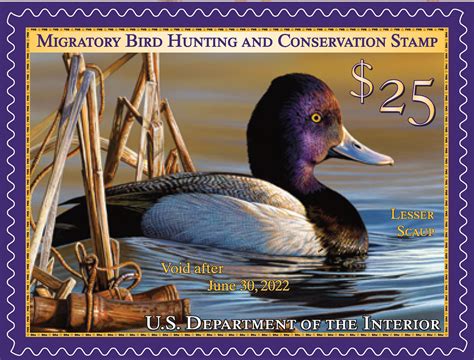 2021-2022 Federal Duck Stamp | FWS.gov