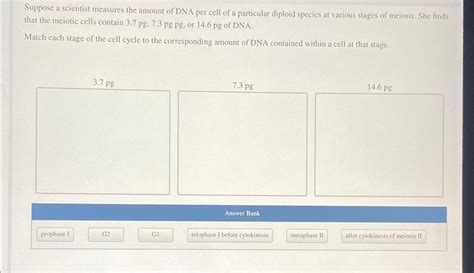 Solved Suppose A Scientist Measures The Amount Of Dna Per