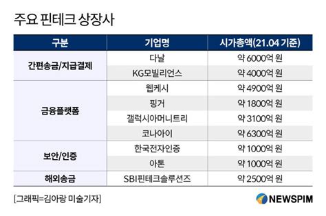 미래산업 테마분석 카카오·네이버도 넘보는 핀테크 전성시대⑤ 네이트 뉴스