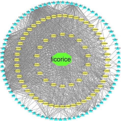 The Network Of Medicine Compounds Targets Construction The Targets