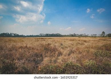 Yellow Field Oil Painting Effect Stock Illustration 1651925317 | Shutterstock