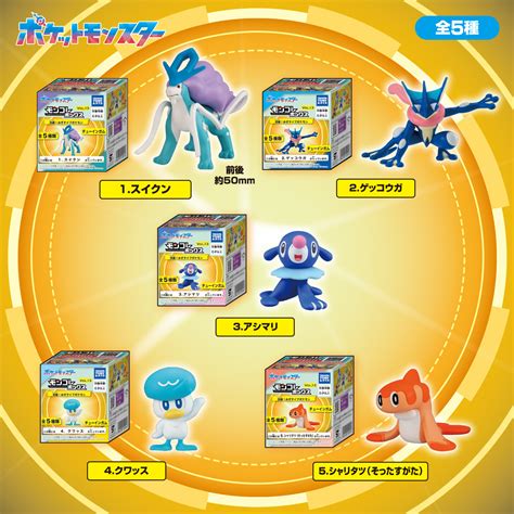 モンコレボックス Vol 13 セット 流麗！みずタイプポケモン 割り引き ゲームキャラクター