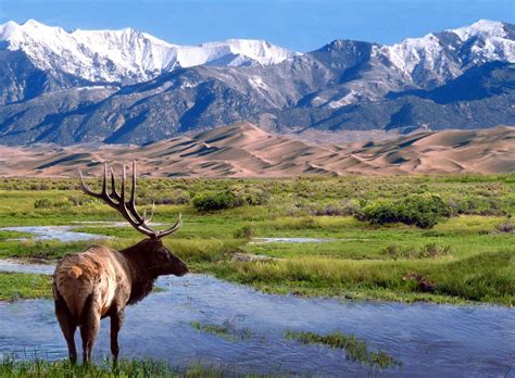 Great Sand Dunes National Wilderness Area – Mosca, CO