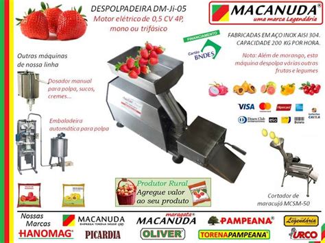 POLPA DE MORANGO DESPOLPADORA INDUSTRIAL MACANUDA CIMM