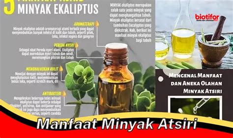 Temukan Manfaat Minyak Atsiri Yang Jarang Diketahui Biotifor