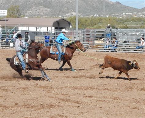 Lost Dutchman Days Rodeo Slated For Feb In Apache Junction