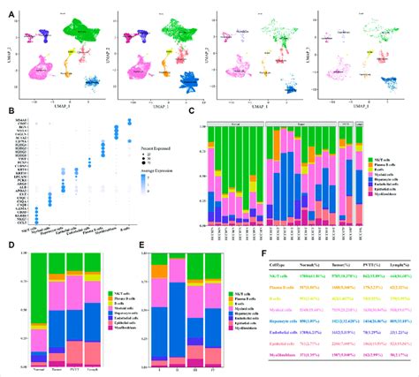 Single Cell Profiles Of Human Hcc A Visualization Of Umap Plot Of 8