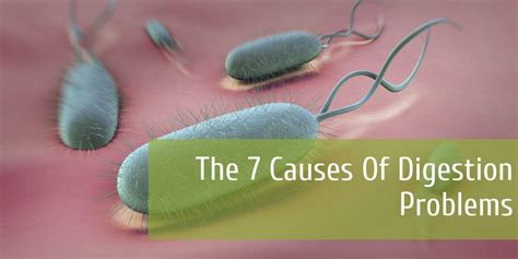 The 7 Causes Of Digestive Problems - Planet Naturopath