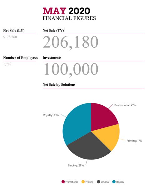 Monthly Financial Report Template Atlanticcityaquarium