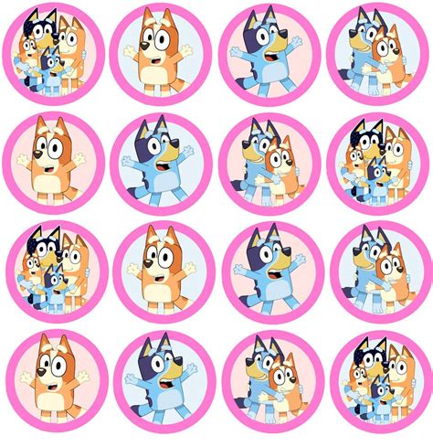 Bluey Birthday Cupcake Toppers