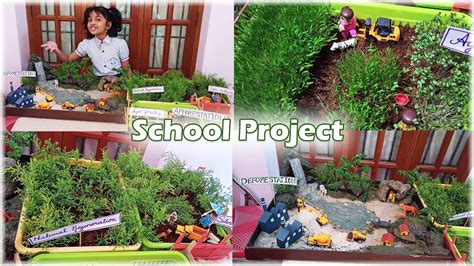 School project | Deforestation and Afforestation | Forest | Wild ...