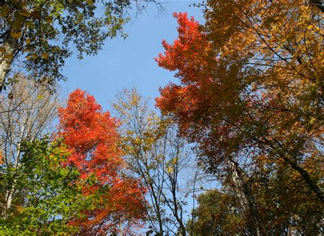 Fall Foliage Hike - Ohio History Connection