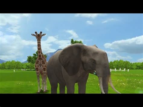 Elephant And Giraffe Gajah Dan Jerapah YouTube